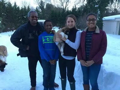 Apexx Akita group at Apexx Akitas Sussex County New Jersey