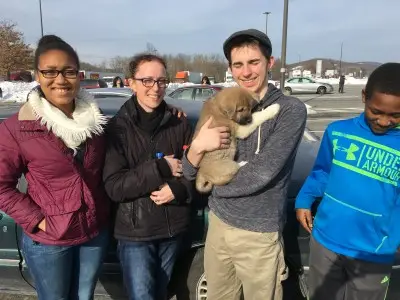 Apexx American Akitas at the kennel property in Wantage New Jersey