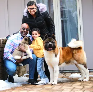 Well-bred American Akita with family showing stable calm temperament Apexx Akitas