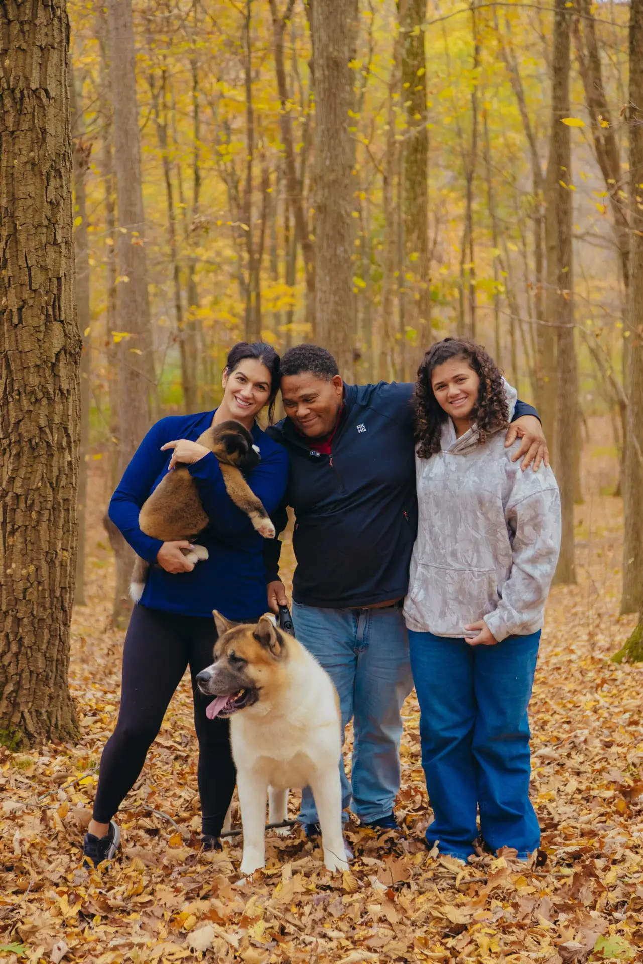 American Akita with family demonstrating loyal calm temperament from Apexx Akitas