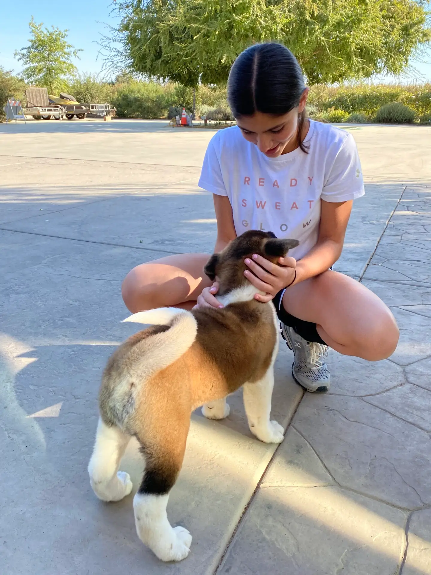 Family meeting their Apexx Akitas American Akita puppy for the first time, Sussex County New Jersey