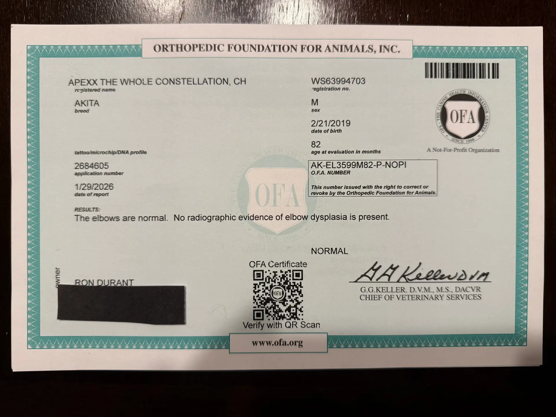 OFA elbow certificate for Champion Ash , Apexx Akitas